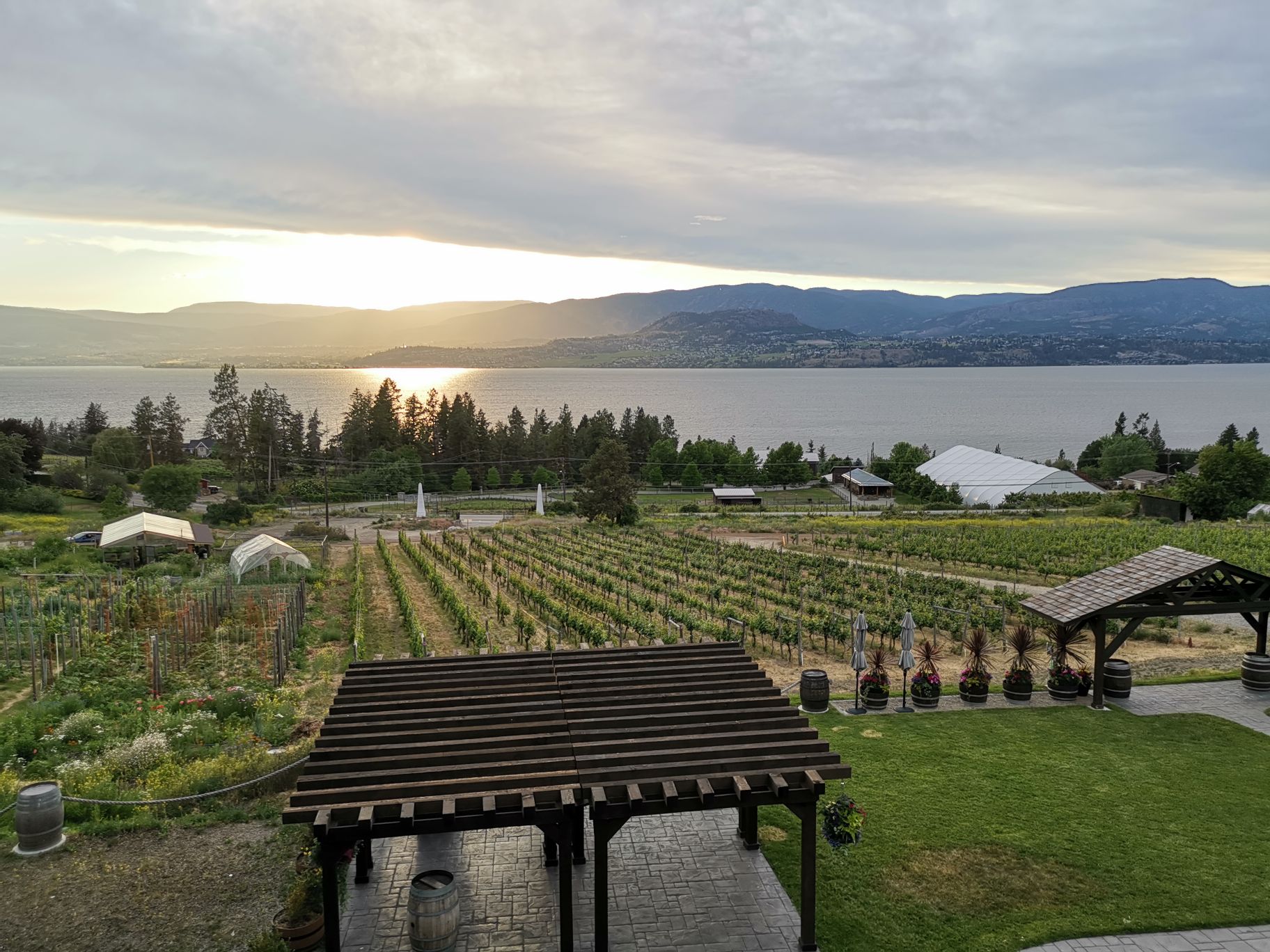 Sunset Organic Bistro餐厅图片