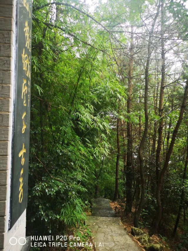 檀香山公园旅行图片 2