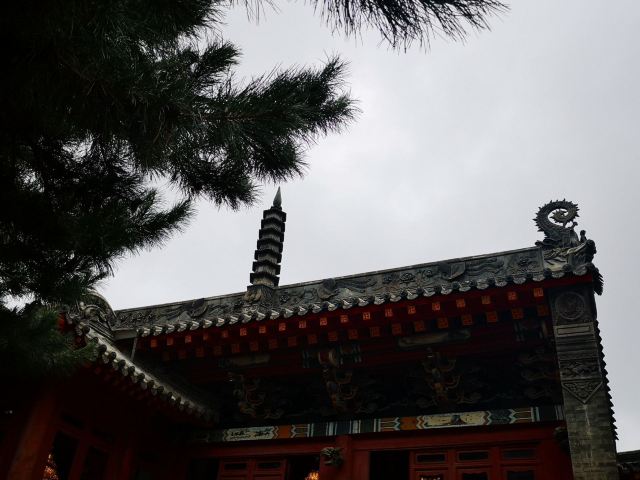 护国般若寺旅行图片 3
