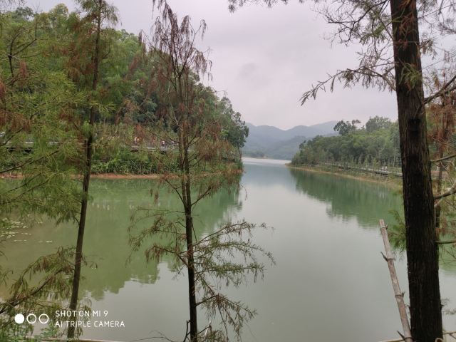金钟水库旅行图片 4