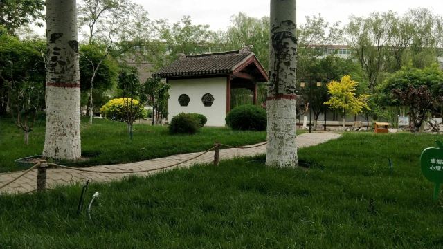 宣化人民公园旅行图片 11