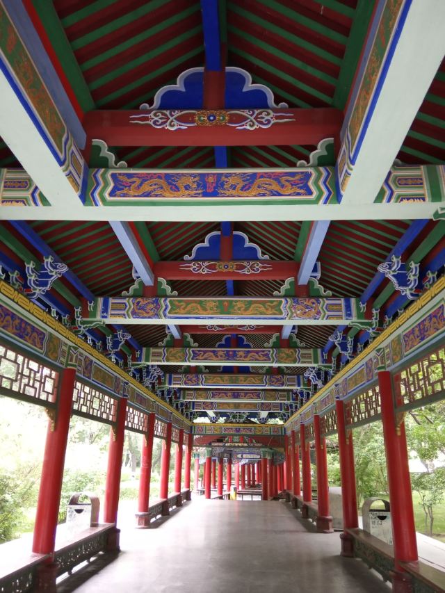 人民公园旅行图片 2