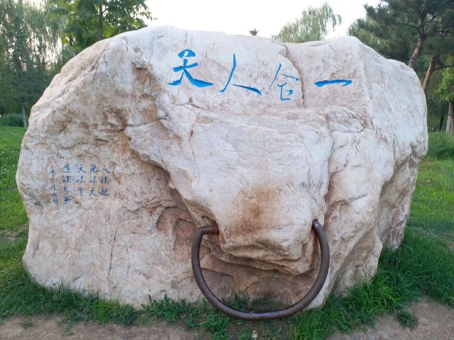 莫子山公园旅行图片 5