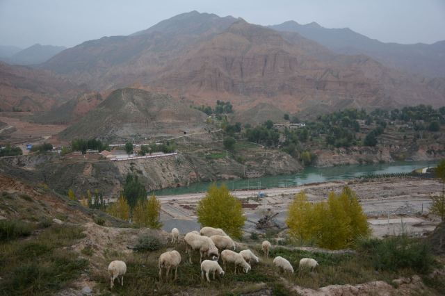 李家峡北岸生态园风景区旅行图片 4