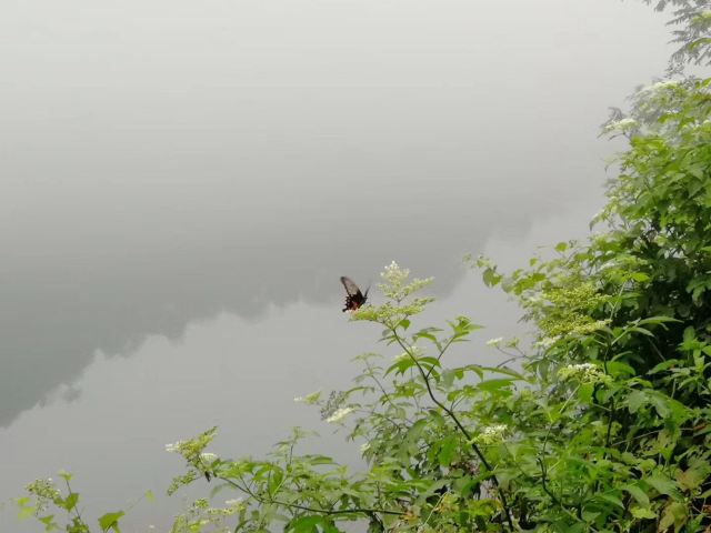 东江湖大漂流旅行图片 7