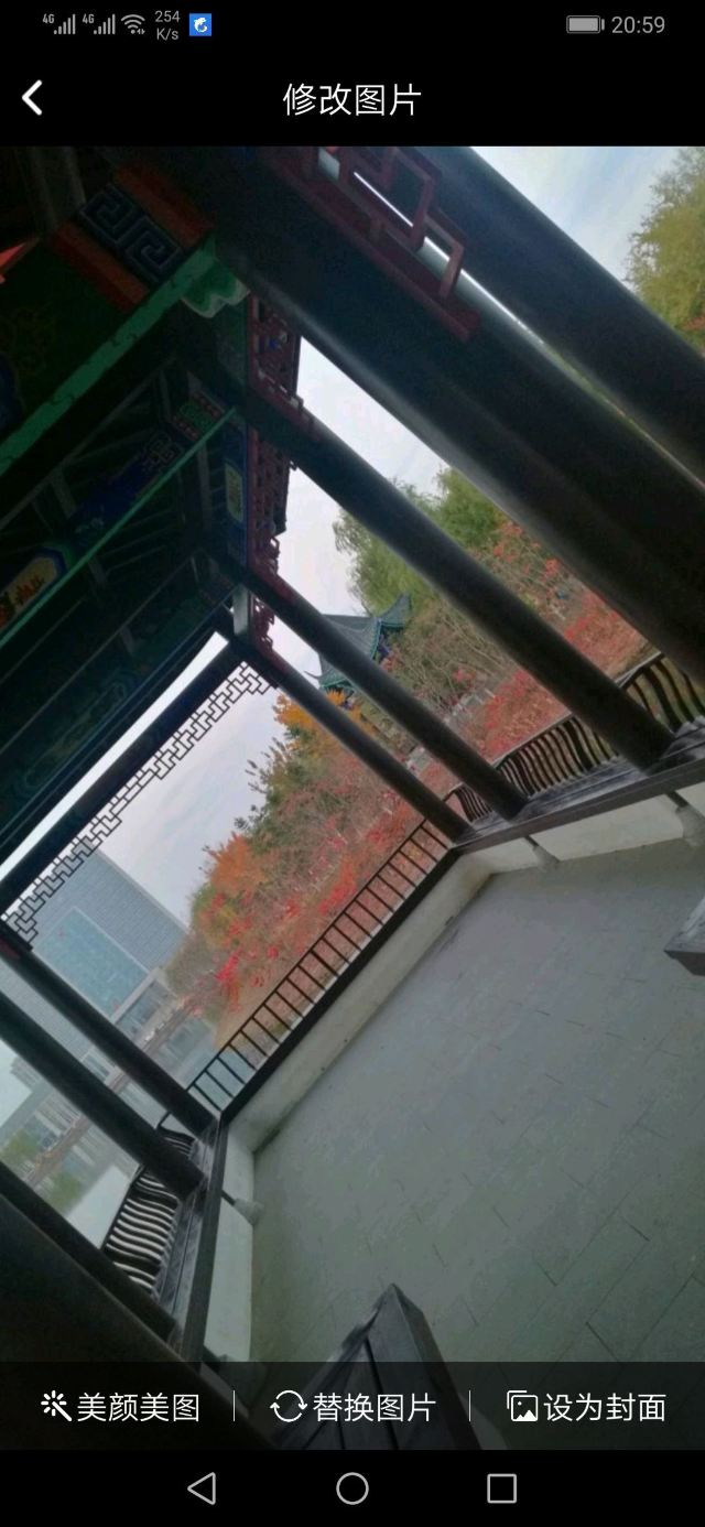 惠民公园旅行图片 2