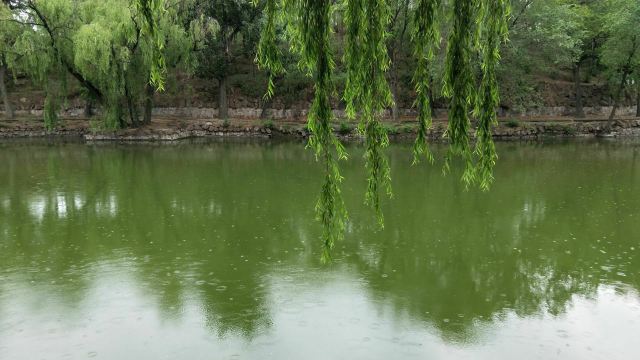 宣化人民公园旅行图片 12