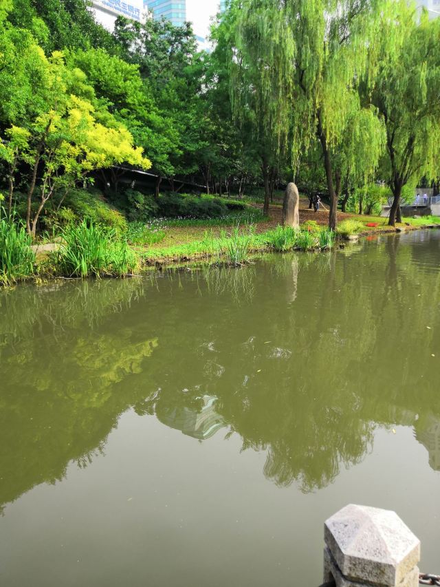 樱花园旅行图片 1