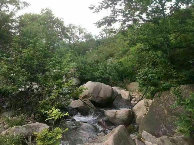 青岛崂山绿石博物馆旅行图片 2