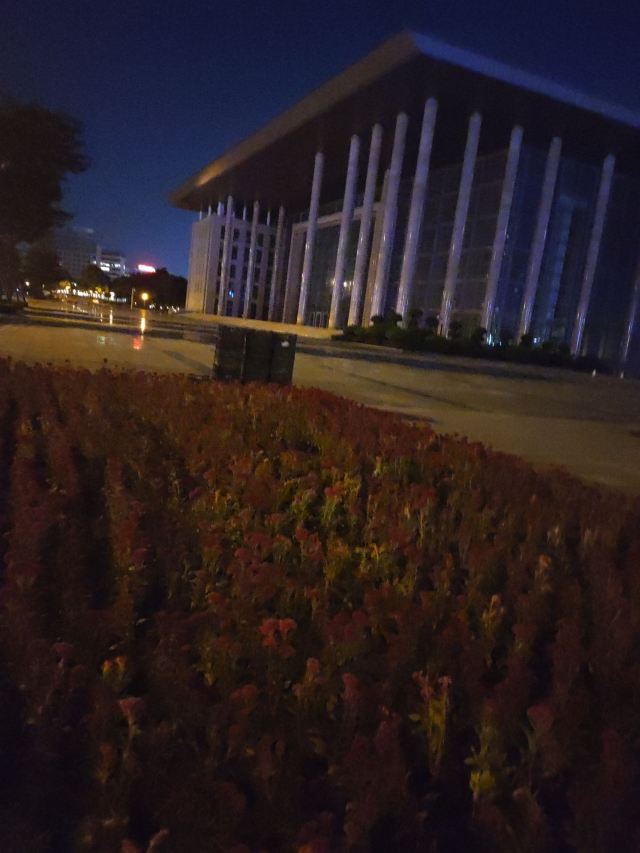 中心广场旅行图片 2