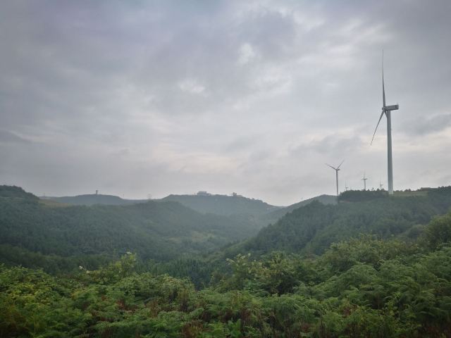 贵州龙架山国家森林公园旅行图片 2