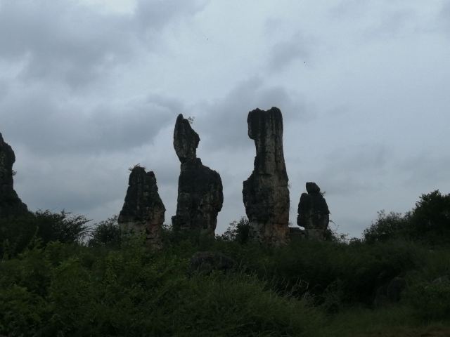 乃古石林风景区旅行图片 4