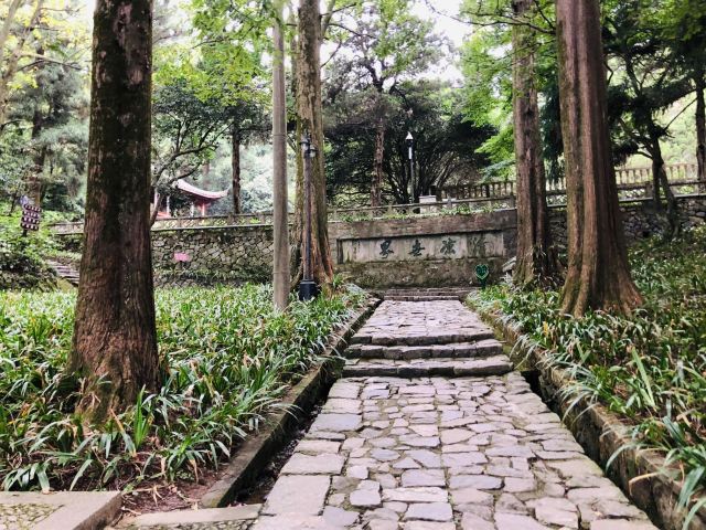 芦花荡公园-园门旅行图片 3