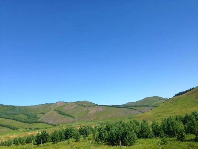 黄岗梁国家森林公园旅行图片 7