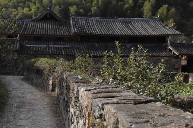 墟里·徐岙底社区旅行图片 4