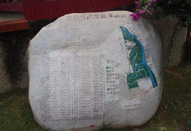 西双版纳南药园旅行图片 2