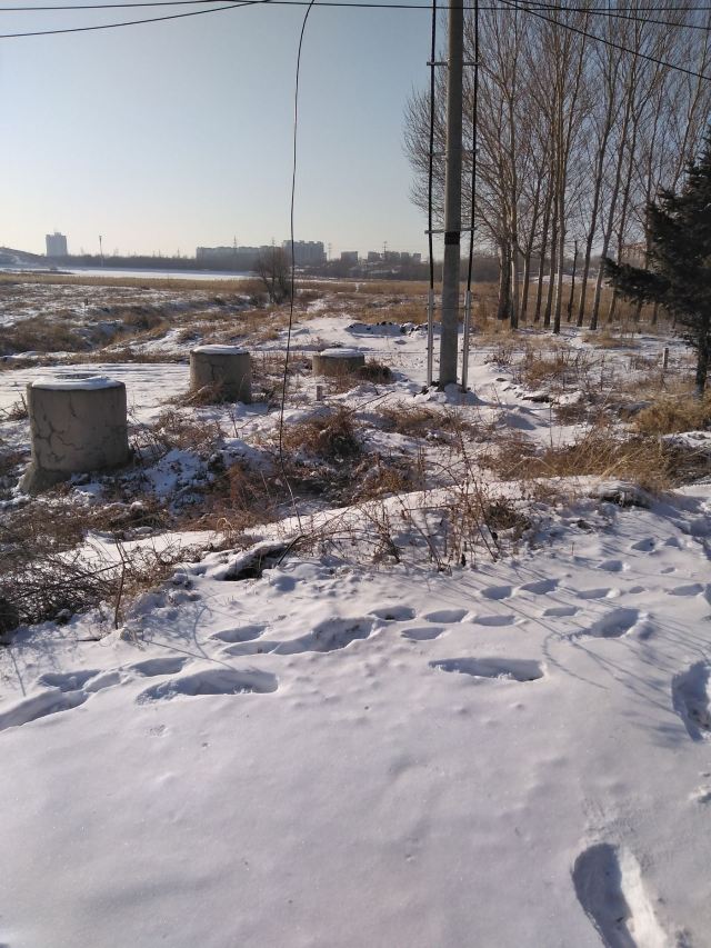 同心湖公园旅行图片 6