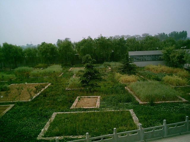 郑国车马坑景区旅行图片 1
