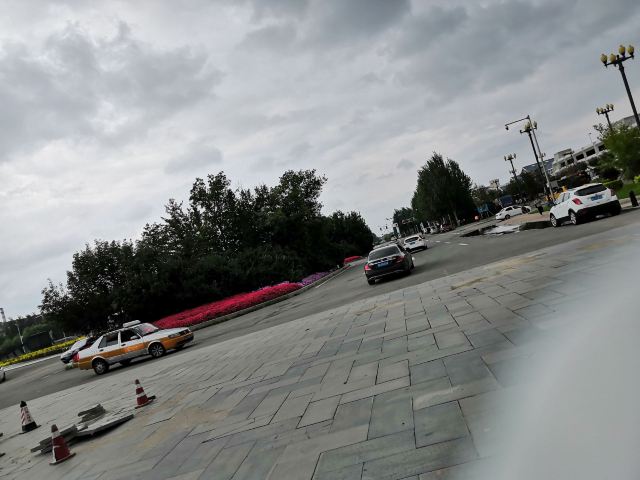 樱花园旅行图片 1