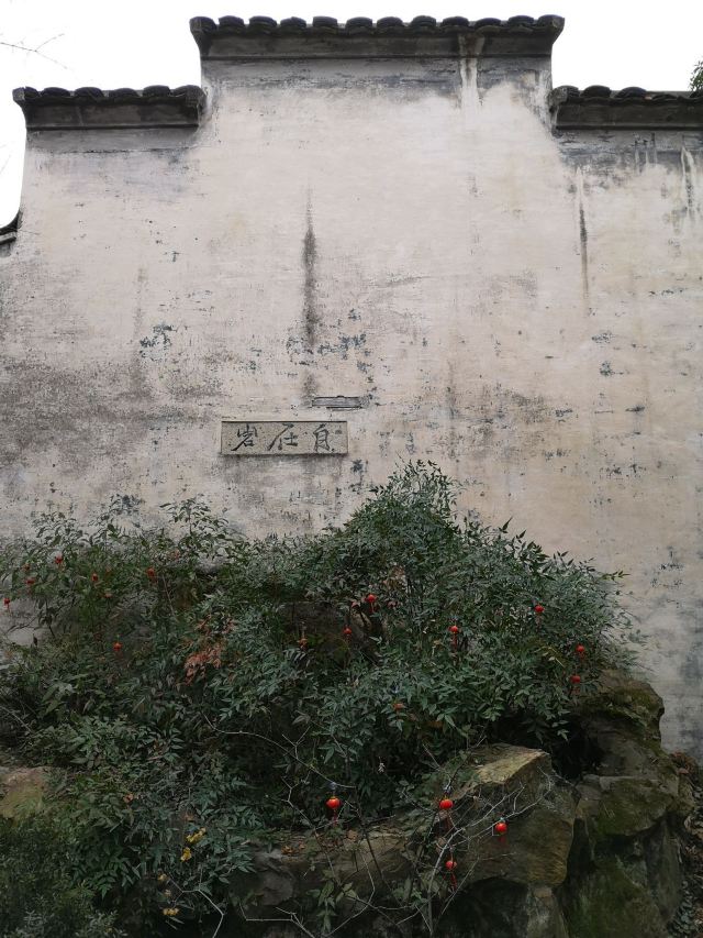 青藤书屋旅行图片 8