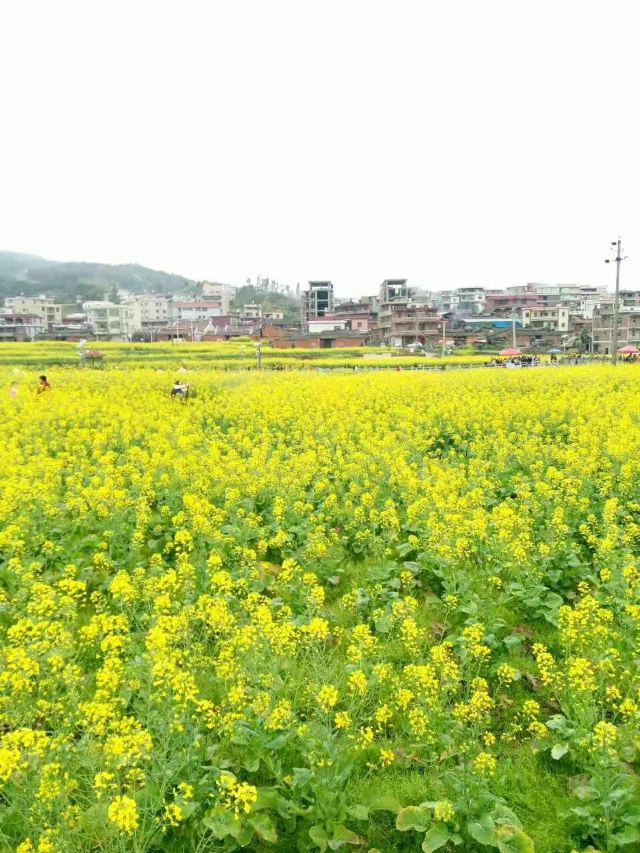 虹山瀑布旅行图片 1