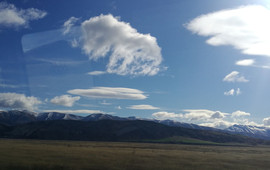 Merino Country Cafe & Gifts