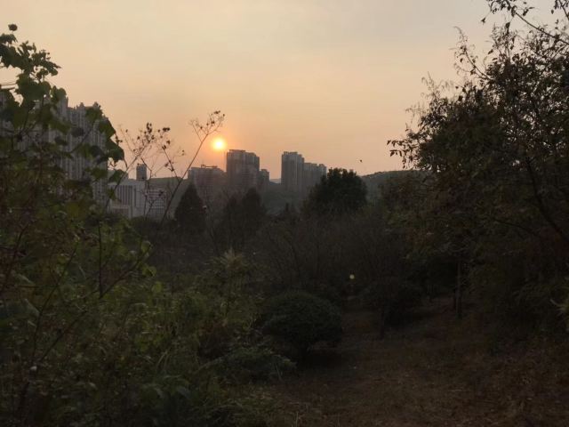 南岭植物园旅行图片 4