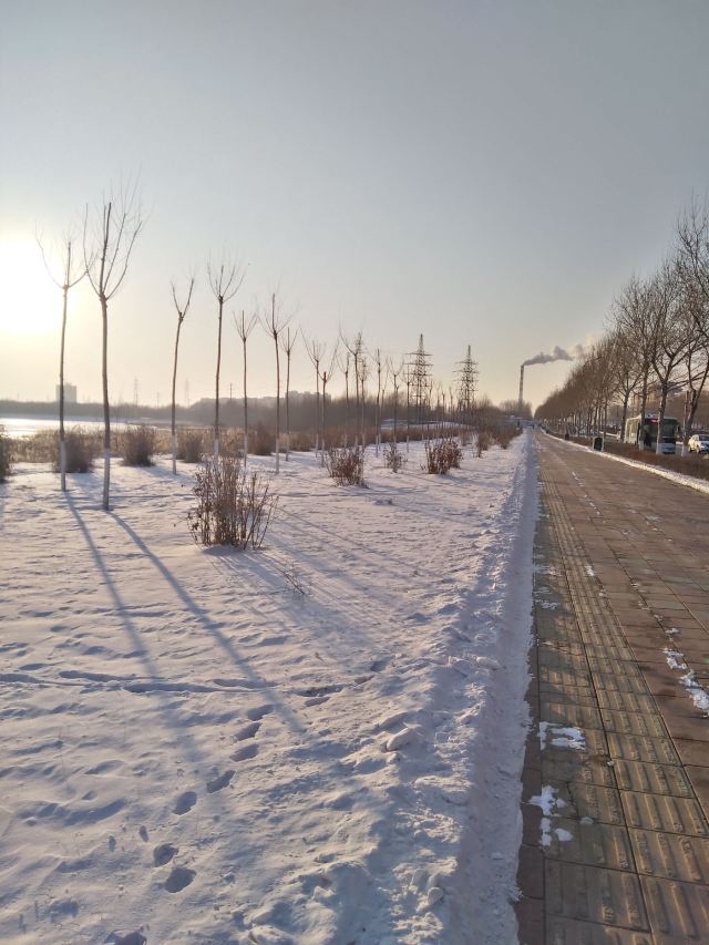 同心湖公园旅行图片 5