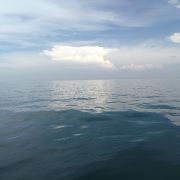 青海湖鸟岛景区(不对外开放)旅行图片 3