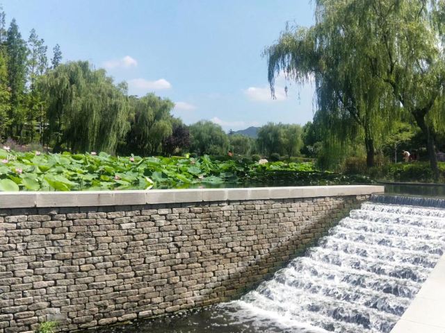 李村河生态全景示范园旅行图片 3
