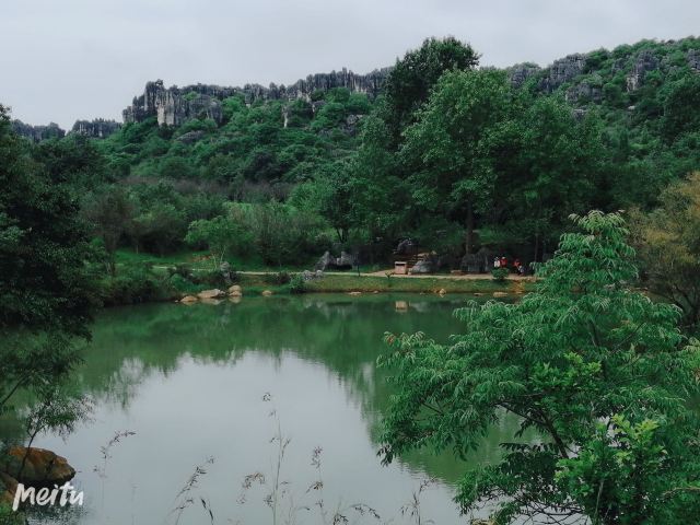 乃古石林风景区旅行图片 6