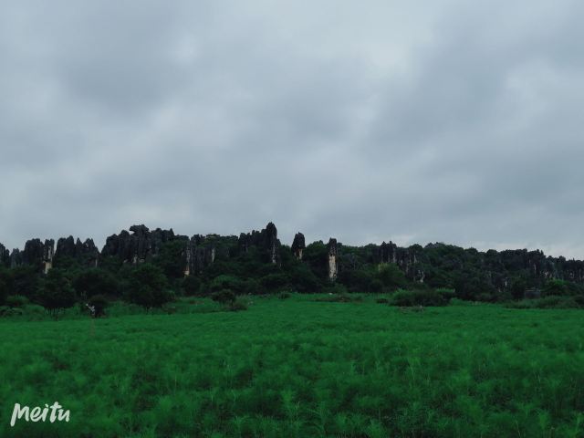 乃古石林风景区旅行图片 7