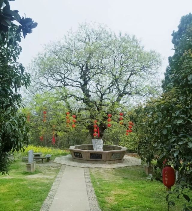 枣阳白水寺景区旅行图片 2