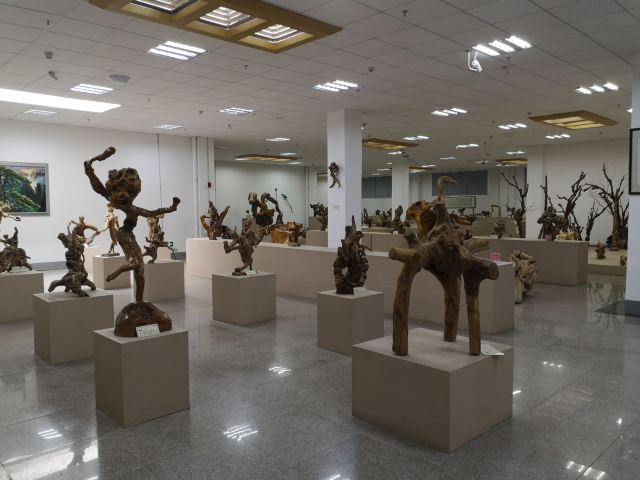 中共岳阳南湖风景区工作委员会旅行图片 2