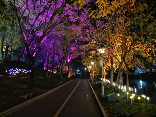 北滘公园旅行图片 3