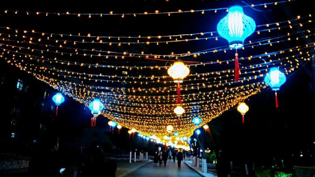 宣化人民公园旅行图片 6
