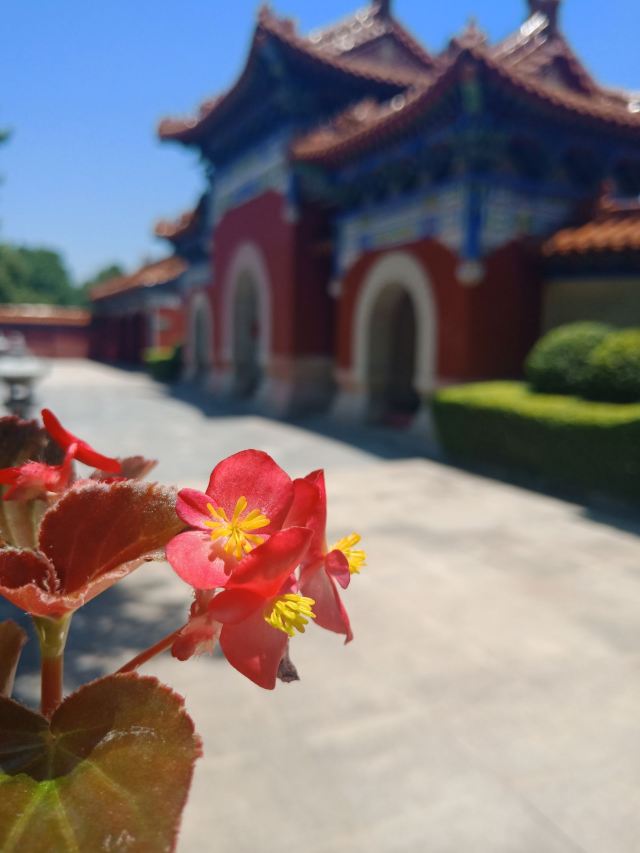 枣阳白水寺景区旅行图片 3