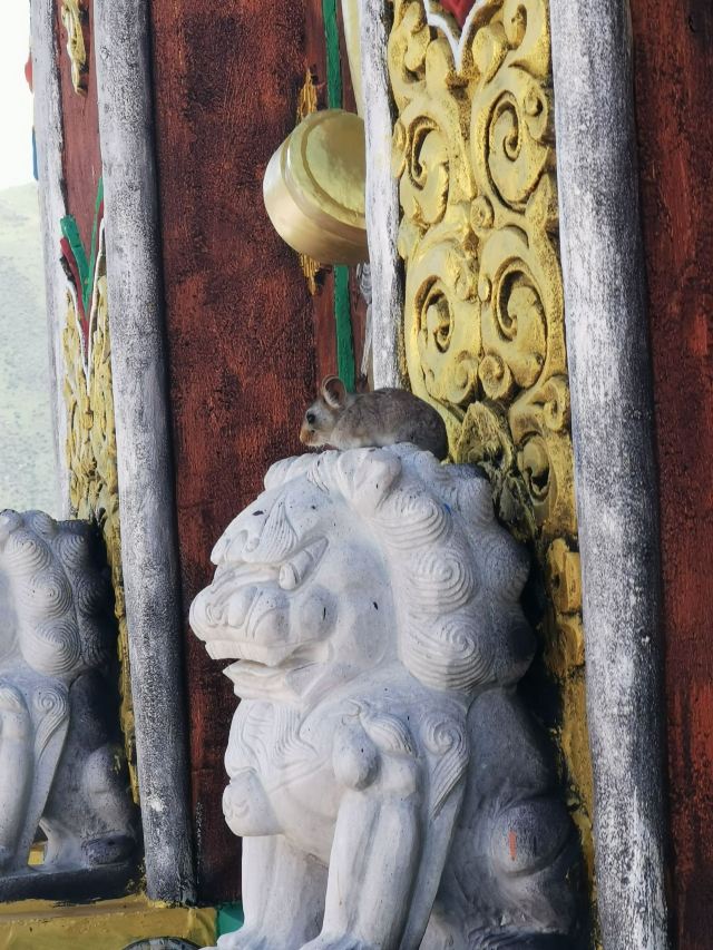 嘎结古寺旅行图片 1