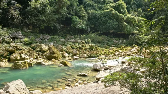 蘭鼎山森林公園