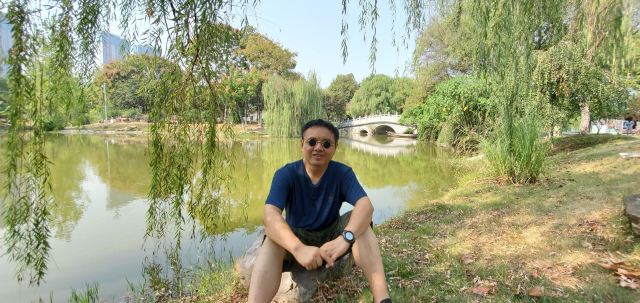 琴台小森林旅行图片 4