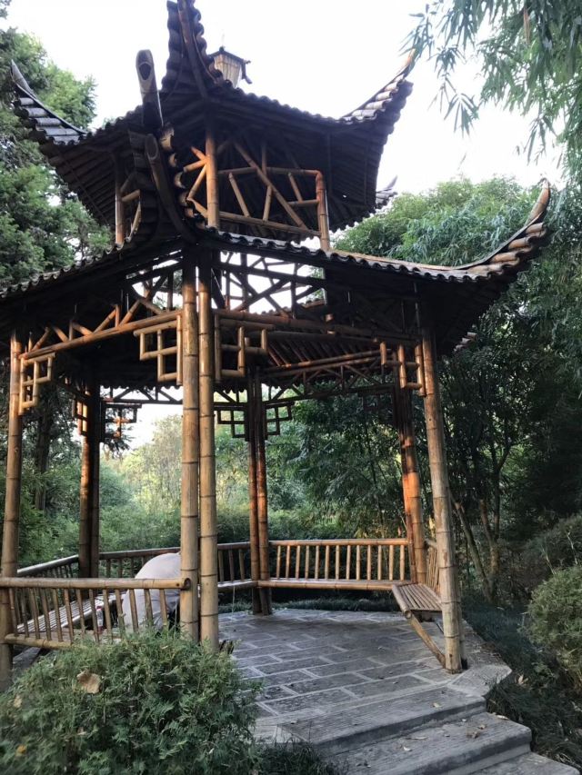 南岭植物园旅行图片 1