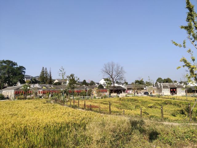 佘村明清代建筑群旅行图片 7