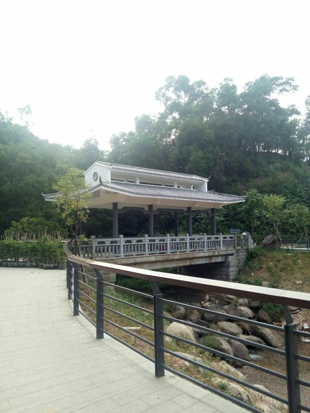 金钟水库旅行图片 6