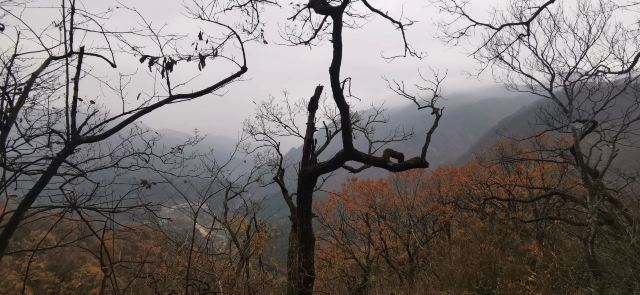 马鬃岭景区旅行图片 2
