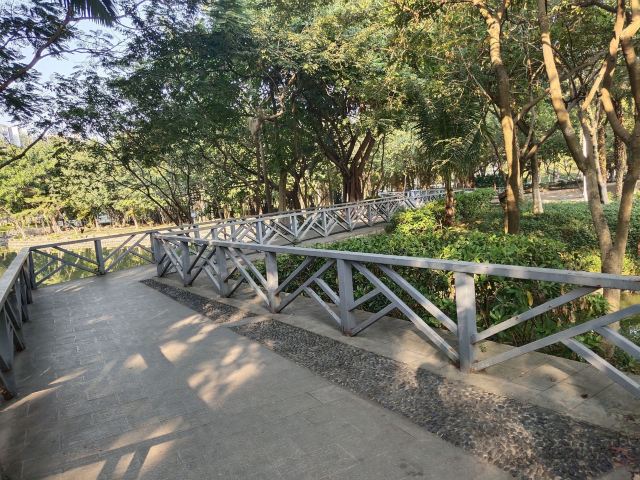 北滘公园旅行图片 6