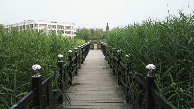 古塔公园旅行图片 3