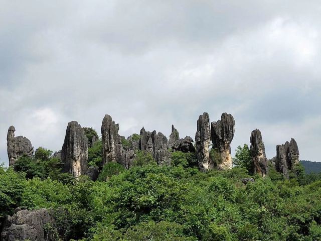 乃古石林风景区旅行图片 2