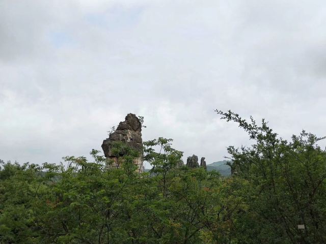 乃古石林风景区旅行图片 4