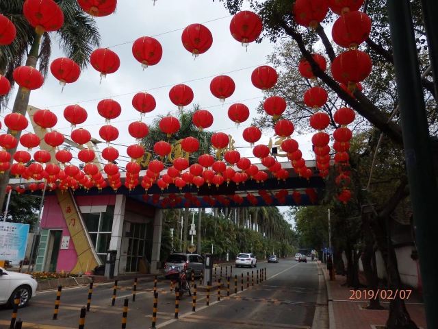 南国桃园旅行图片 1