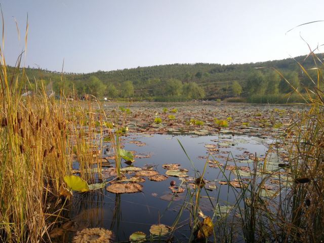 哈拉沁吉沙公园旅行图片 3